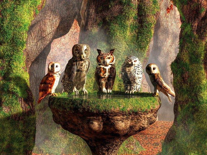 A Parliament of Owls - 500/1000 PCS Wooden Jigsaw Puzzle - | TreeletPuzzle | High - Quality 1000 - Piece Wooden Puzzle